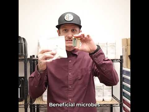 Stop Plant Diseases FAST: The 100% Natural Microbe Combo That always works!