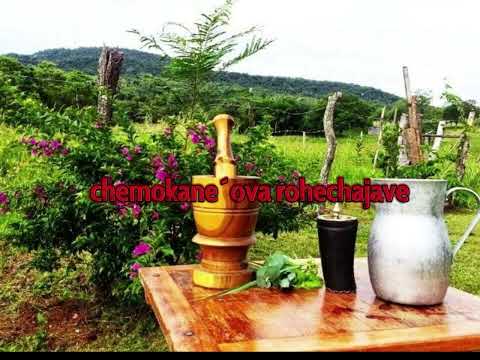 Blanca Cabellera - Julio César y Los Mágicos de Amor - LETRA