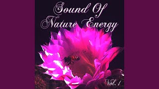 10K Feet (Sound Of Nature Edit)