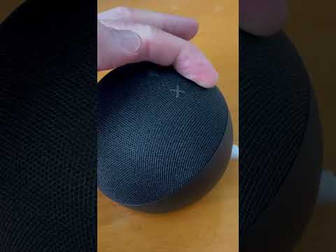 信じられない!ついに Alexa の記憶を消去できるようになりました: Amazon Echo では次のように動作します