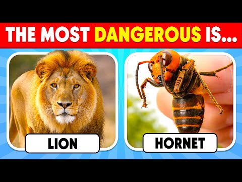 How Good Is Your Knowledge of ANIMALS? 🦁🐯✅ General Knowledge Trivia Quiz | Nemo Quiz