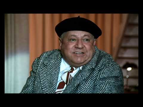 Fantozzi alla riscossa parte 1 ! dona con un $grazie per regalare cibo cure ai randagi 🙏👌🔔👍