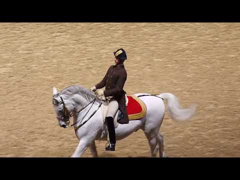 The Spanish Riding School of Vienna