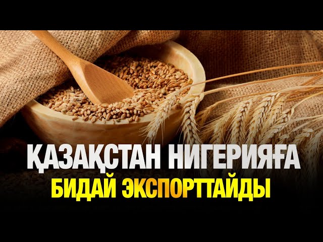Қазақстан мен Нигерия астық пен сирек металл алмасуға мүдделі