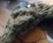 Smoking Days