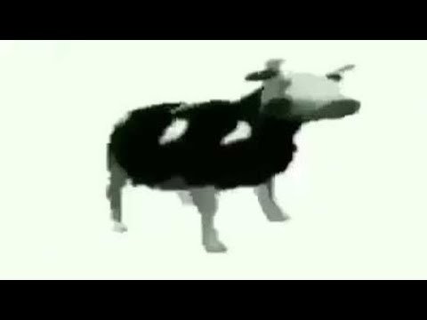 MDMax - Polish Cowtek