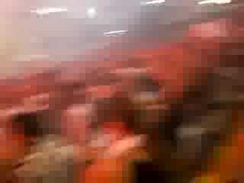 Botafogo 1 x 0 Fluminense Taça Rio 2008 - Festa Alvinegra