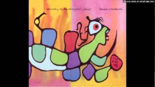 Bruce cockburn   after the rain