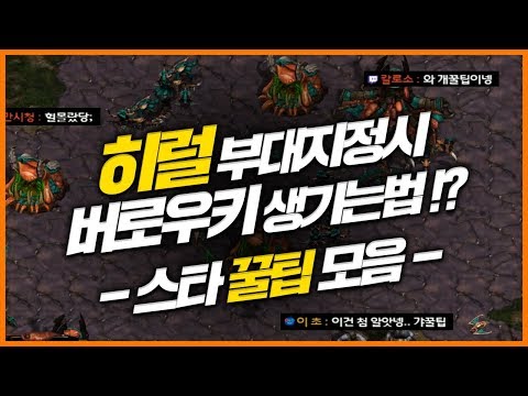 StarCraft Tips You’d Never Know Even After 10 Years! starcraft tip★