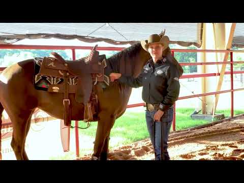 The Benefits of the Synergy® Saddle Pad - Abby Lengel