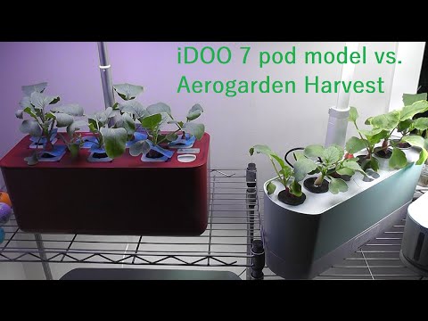 iDoo 7 Pod Vs. Aerogarden Harvest - Side by side observation with plant growth, & feature comparison