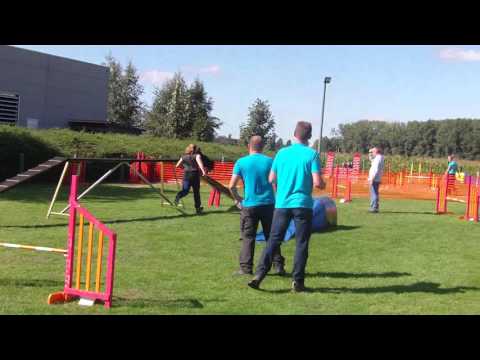Yenka : interclub agility in Merendree vast parcours