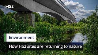 After construction: How HS2 sites are returning to nature