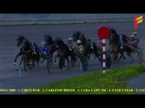 III Corsa del 1 Febbraio 2022 - 4 Anni - Metri 2000