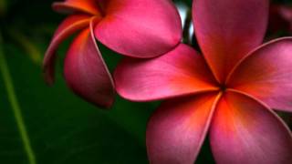 apocalypto soundtrack  - words through the sky - part 8