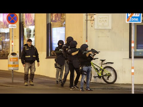 At least 2 killed, 15 wounded in Vienna shootings