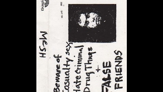 Mesh- Beautiful Deceiver (Shagrat Cover)