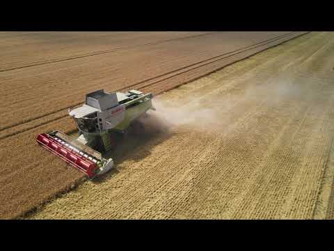 Ernte Braugerste Friedrichshausen