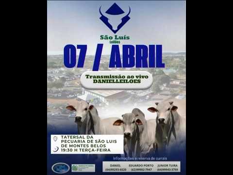 São Luís de Montes Belos - GO   07/04/2026