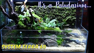 Setting DOOA System Terra 60 Bersama O2 AQUATIC