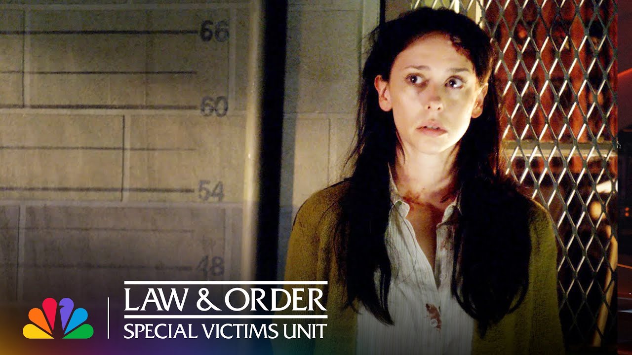 Jennifer Love Hewitt Plays a Woman Assaulted Multiple Times Over 15 Years | Law & Order: SVU | NBC - YouTube