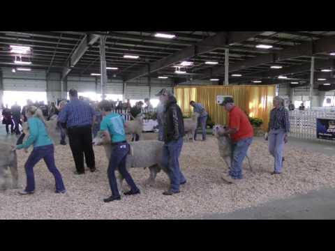 2016 - Sept 25th - Northeast Regional Lincoln Show