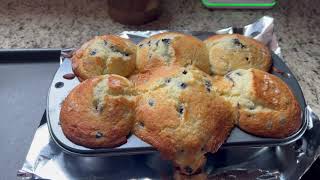 Blueberry Muffins