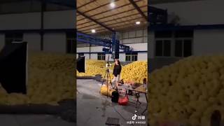 How Chinese Farm Sell Online? 😮 Crazy Livestream Commerce!