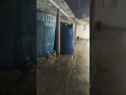 CHUVA EM PINDAÍ-BA. #chuvasdosertao #chuva #sertão #bahia #nordeste