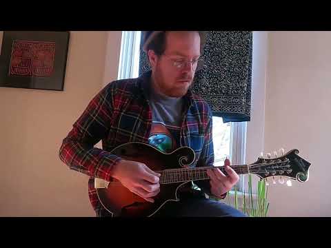 Morgan Monroe Bean Blossom