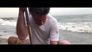 Трейлер превью