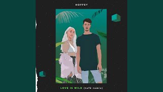 Love Is Wild (tofû Remix)