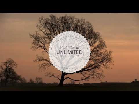 Spiffy Man - Farewell Ft. Progley (Sauniks Remix)