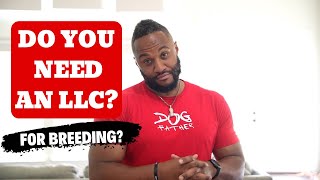 Breeding Business LLC (Do You Need One?)