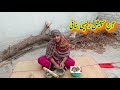 Aaj Special Recepie Bnai Muqaddas Imran Life Pakistani Family Vlogs Punjabi Vloger