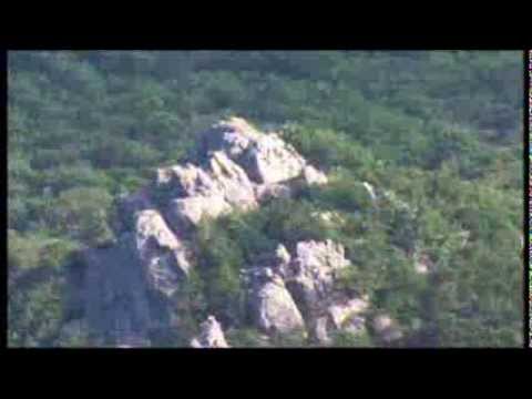 Këngë kushtuar Man AVDISE, Palçit, Merturit