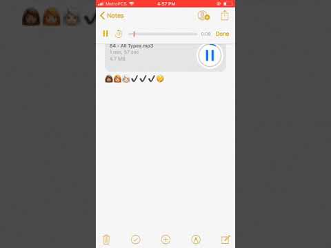 All Types - Banks & Chapo Hit The Lotto (OFFICIAL AUDIO)