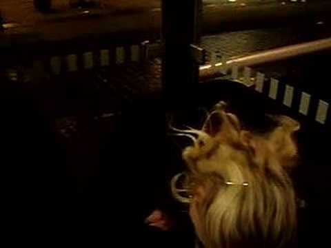 How to say Freddie Ljungberg in Swedish