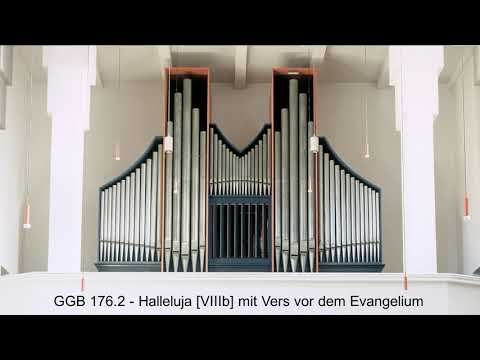 GGB 176 2 "Halleluja" [VIIIb] mit Vers vor dem Evangelium