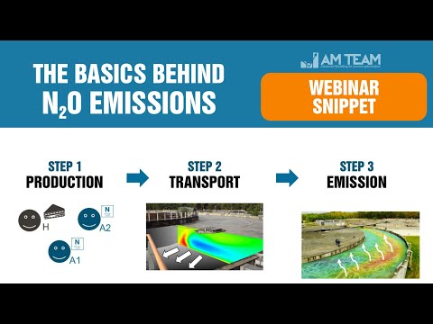 The 3 step process behind N2O emissions