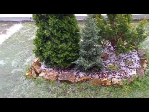 Jéggel kísért felhőszakadás Szolnok