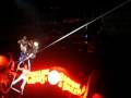 Ringling Circus