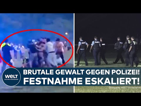 HAMBURG: Massenschlägerei — Verhaftung im Stadtpark eskaliert! Wütender Mopp attackiert Polizei