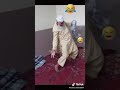 Funny Video Abhi To Main Jawan Hoon