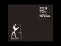 Eels - Girl From The North Country