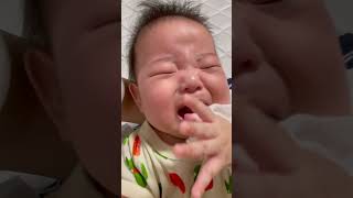 泣きやみません！ Won't stop crying! #shorts