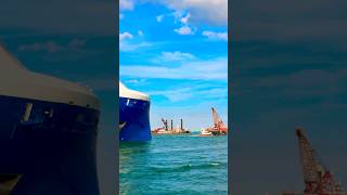 Celebrity Xcel 🛳️ #like #share #comment #subscribe #youtubeshorts #cruise #travel #shorts #yt #fun