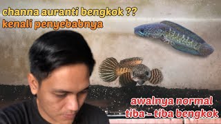 Download lagu Channa Auranti Bengkok ?? Kenali penyebab dan cara penanganannya !!! mp3