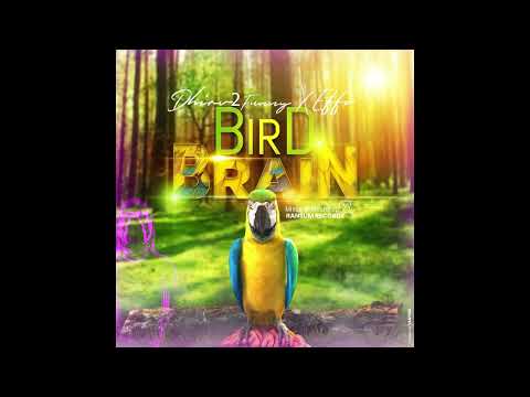 Dhirv 2Funny X Effo - Bird Brain (Prod. By Dj GUYGUY)