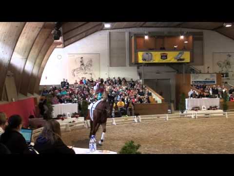 CVI Bern 2015 - Simone Jäiser (Technical Test)